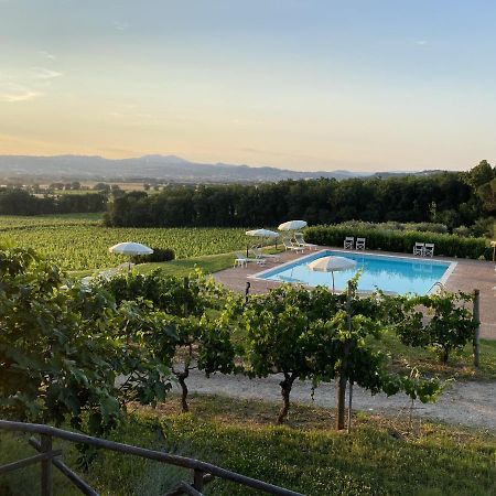 Poggio Alle Vigne Torgiano Exteriér fotografie