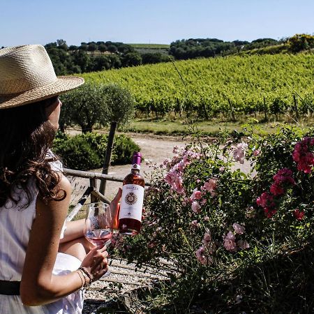 Poggio Alle Vigne Torgiano Exteriér fotografie