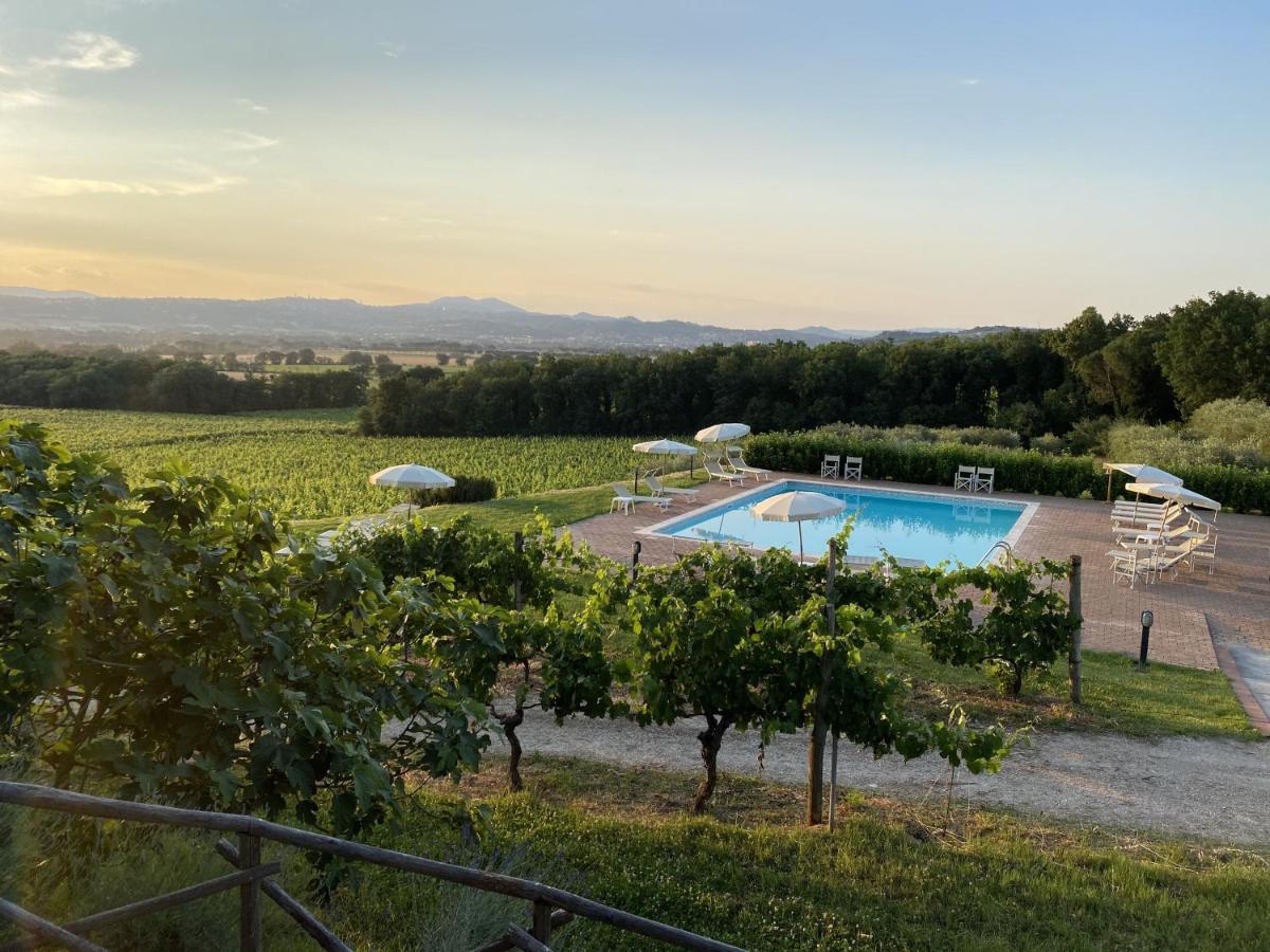 Poggio Alle Vigne Torgiano Exteriér fotografie