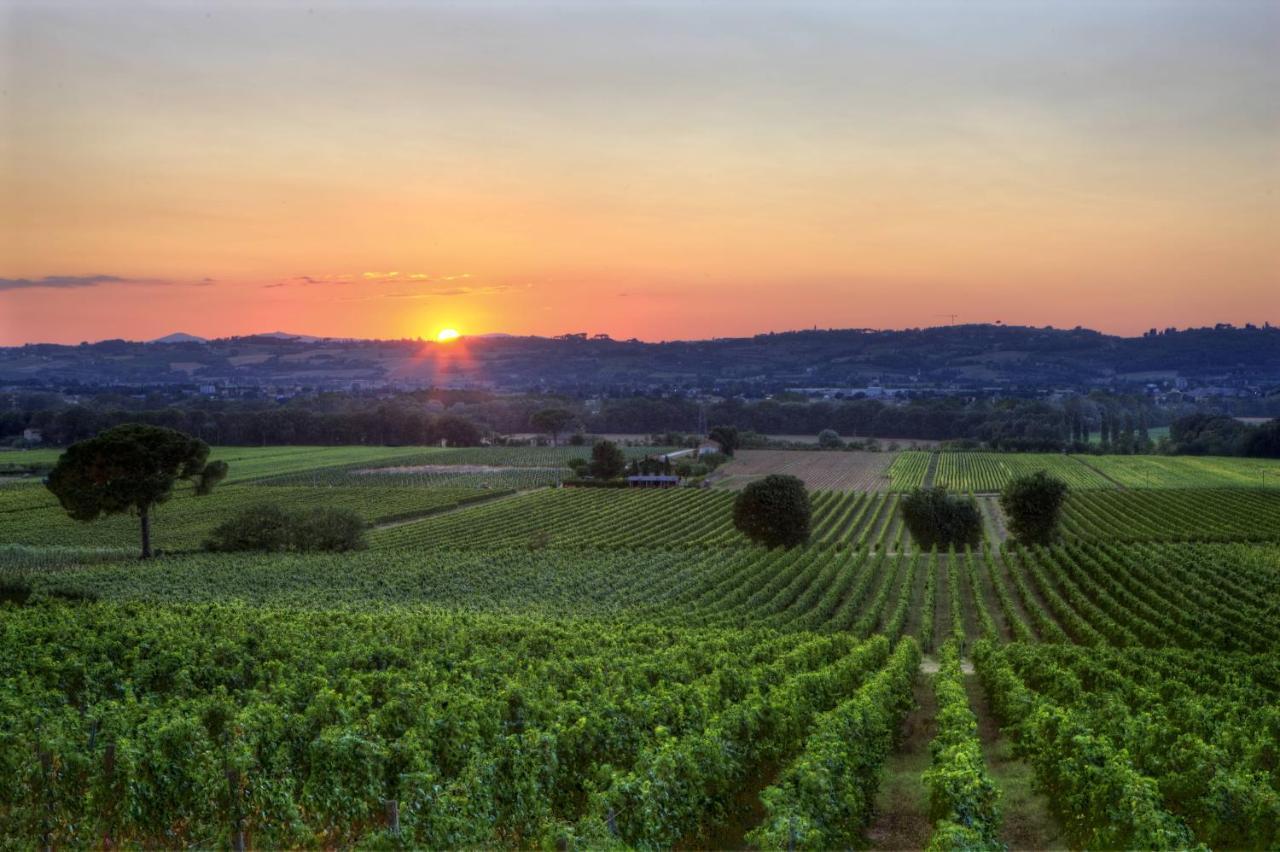 Poggio Alle Vigne Torgiano Exteriér fotografie