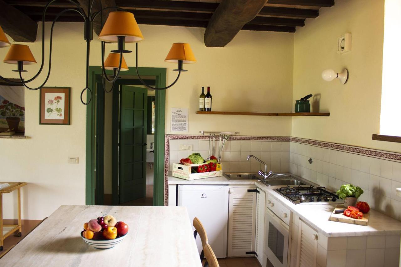 Poggio Alle Vigne Torgiano Exteriér fotografie