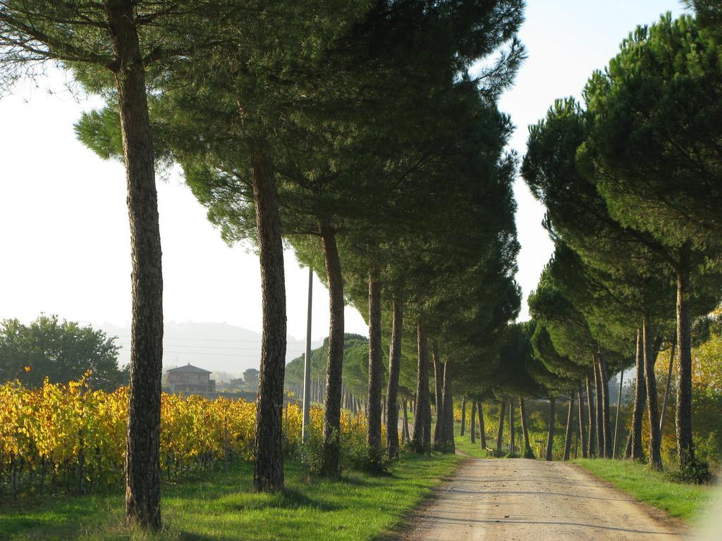 Poggio Alle Vigne Torgiano Exteriér fotografie