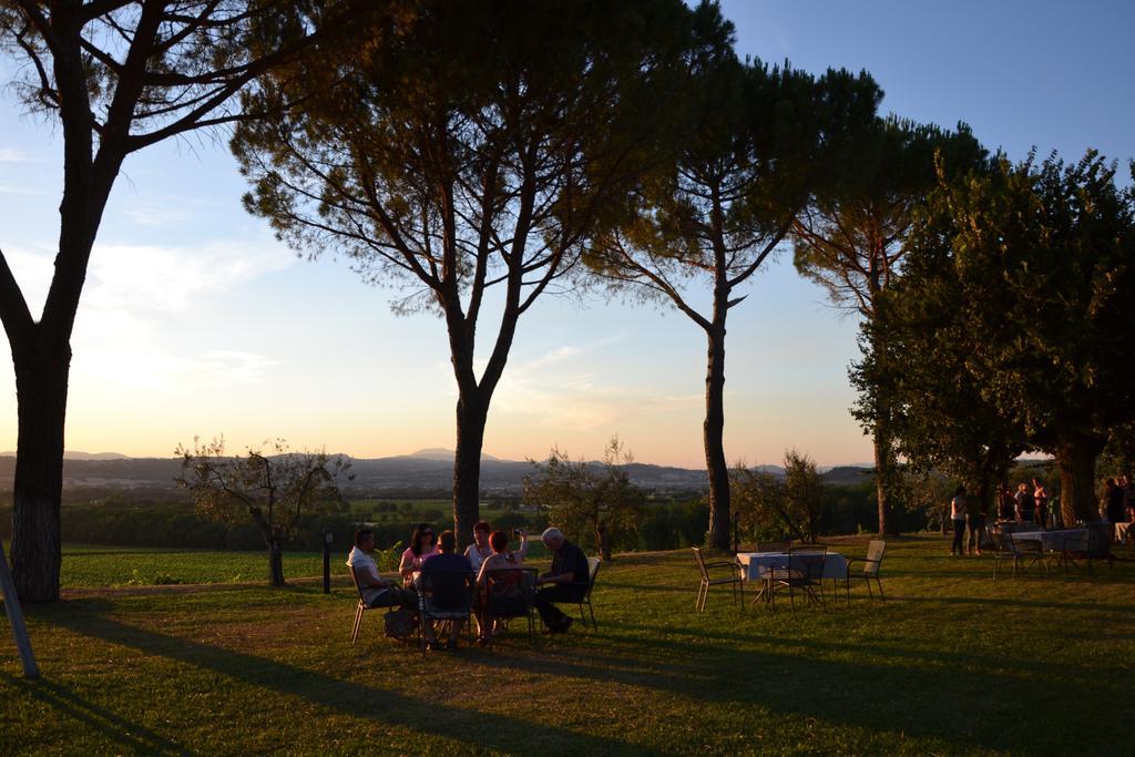 Poggio Alle Vigne Torgiano Exteriér fotografie