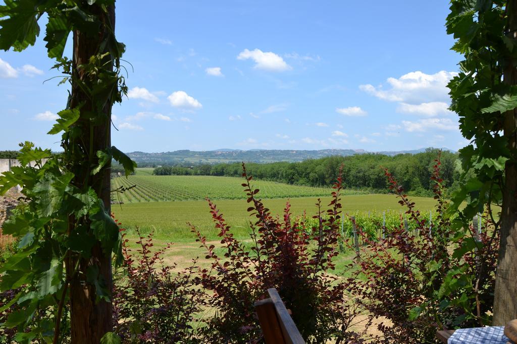 Poggio Alle Vigne Torgiano Exteriér fotografie